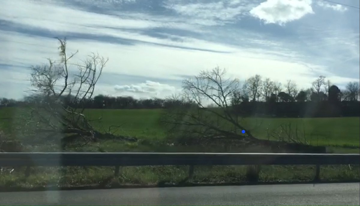 BernardCottazC's tweet photo. Carnage en cours sur la #RN126 à hauteur de St Germain des Prés #Tarn. Abattage d'un alignement d'arbre avec un déploiement massif de FDO (9 vehicules).
Ce scandale écocidaire pour réaliser une autoroute A69 inutile doit cesser.
Les arbres tombent, levons nous ! https://t.co/oSDklvwJBB