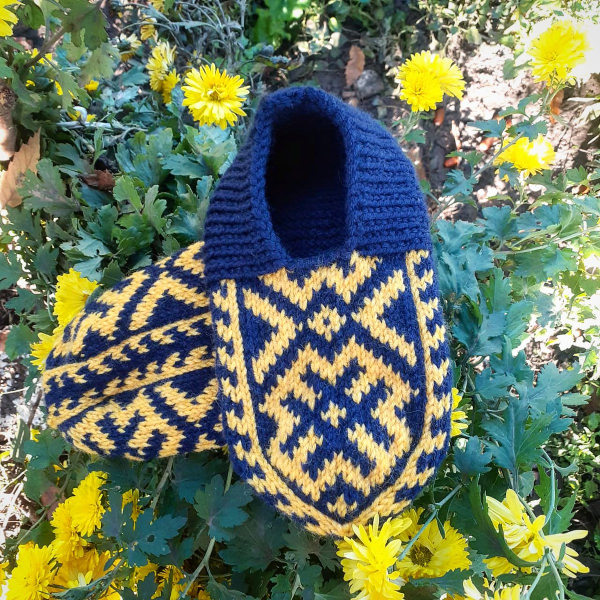 AzerJorab's tweet photo. Spring is here

#rural #rurallife #knitterslife #womeninruralenterprise #womenempowerwomen #womeninbusiness #womenknitwear #knitsocks #knitting #knittingyarn #slippers #slippershoes https://t.co/RJLa2n3gN4