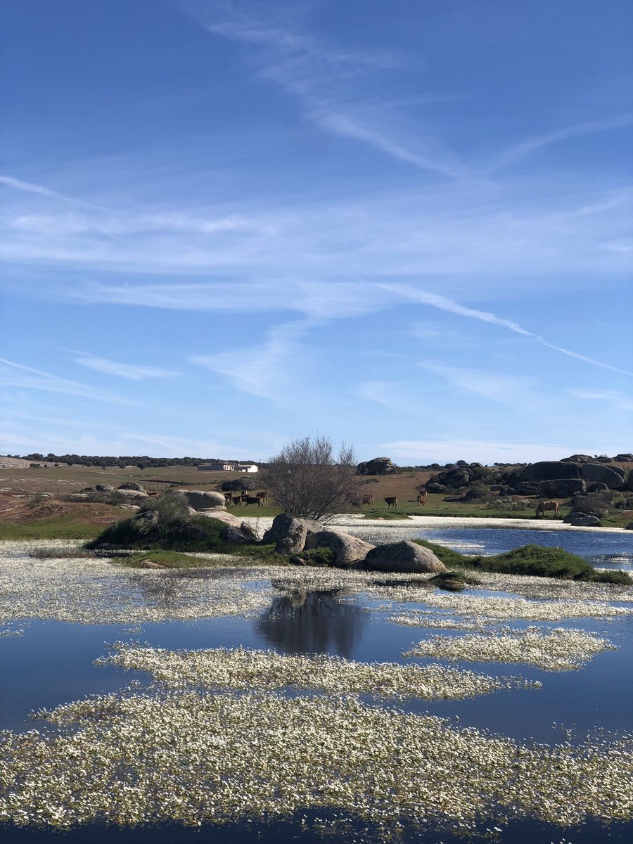 45Beatriz's tweet photo. Primer entrenamiento oficial con @inmatcastro preparando los #55km de #BomberosSolidarios. Imposible con este paisaje no cumplir el objetivo de los #33km
Es primavera y Extremadura lo sabe. Inma y servidora también 🍻 https://t.co/LVjdWk2rJN