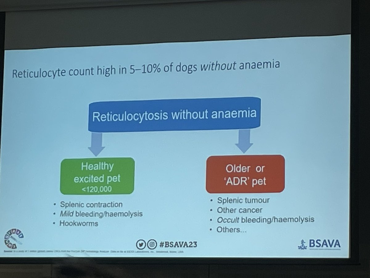 AlexMWatts's tweet image. Great anaesthesia stream today @BSAVACONGRESS 🤓 Very stoked to hear induction being considered for schedule 3 inclusion for nurses 🎉 and awesome top tips for pre-symptomatic diagnostics (and Prosecco 🤭🥂😁) from @IDEXX @thebsava 🎉