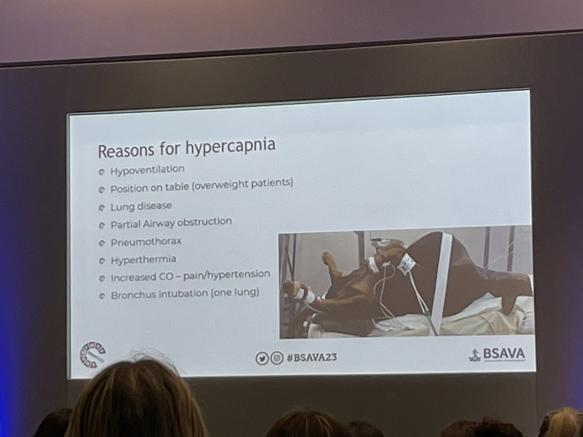 AlexMWatts's tweet image. Great anaesthesia stream today @BSAVACONGRESS 🤓 Very stoked to hear induction being considered for schedule 3 inclusion for nurses 🎉 and awesome top tips for pre-symptomatic diagnostics (and Prosecco 🤭🥂😁) from @IDEXX @thebsava 🎉