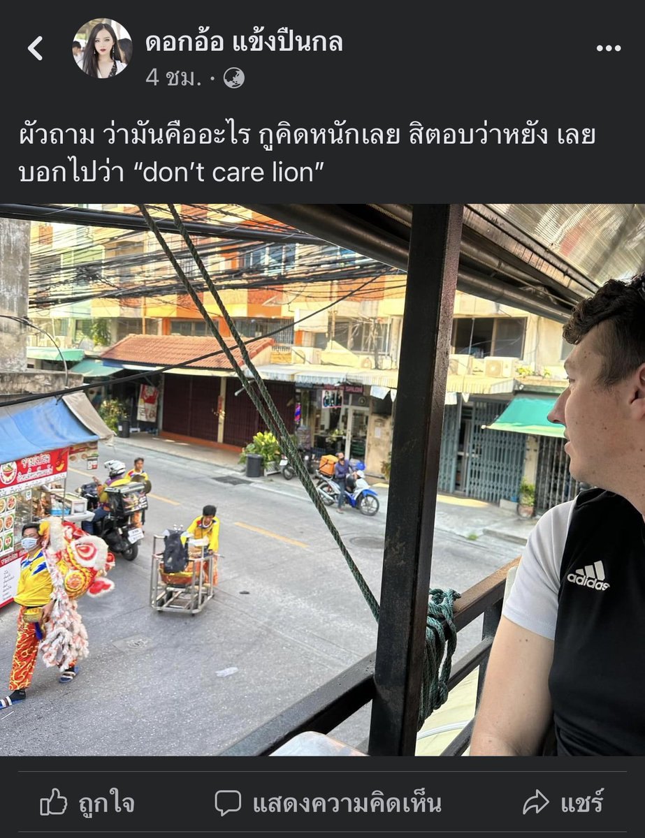 IWOSIIWS's tweet image. don't care lion 555555555555