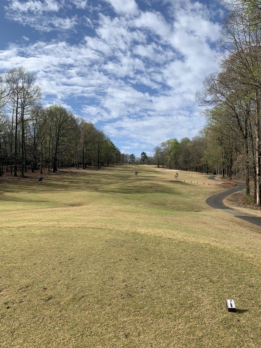 Dacula Falcons Golf tweet media