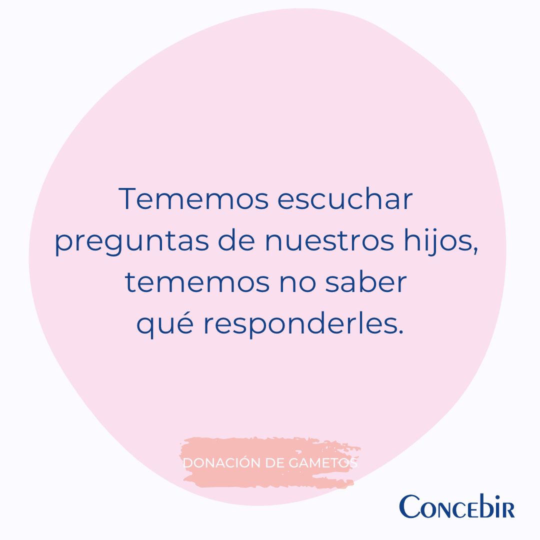 Concebir ONG tweet media