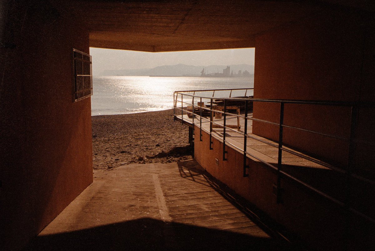 Alessanfru's tweet photo. Winter days with warm light 🎞️ https://t.co/sR3gf23EbO