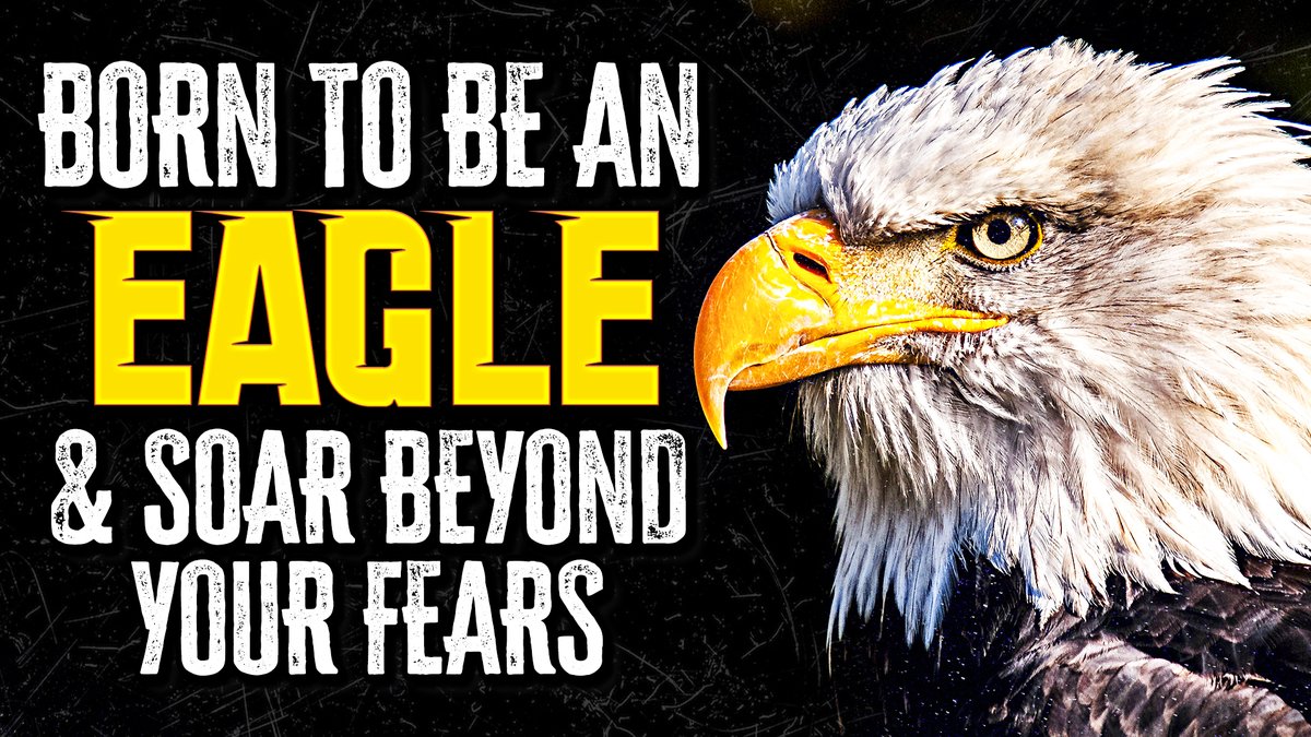 BrianLBolden's tweet photo. Channel for Champions...https://t.co/PzeBgHFpMd https://t.co/VYWbMXLIw6