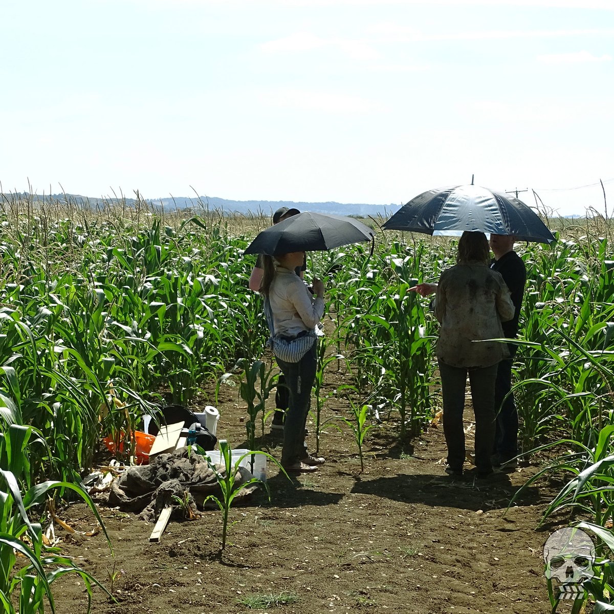 We've been SO lucky with each of our locations. Here we are on our very first day of filming, in the middle of a maize field...it was HOT!

#horror #horrorshorts #filming #movie #movielocation #onlocation #independentmovie #horrormovie #zombie #zombiemovie