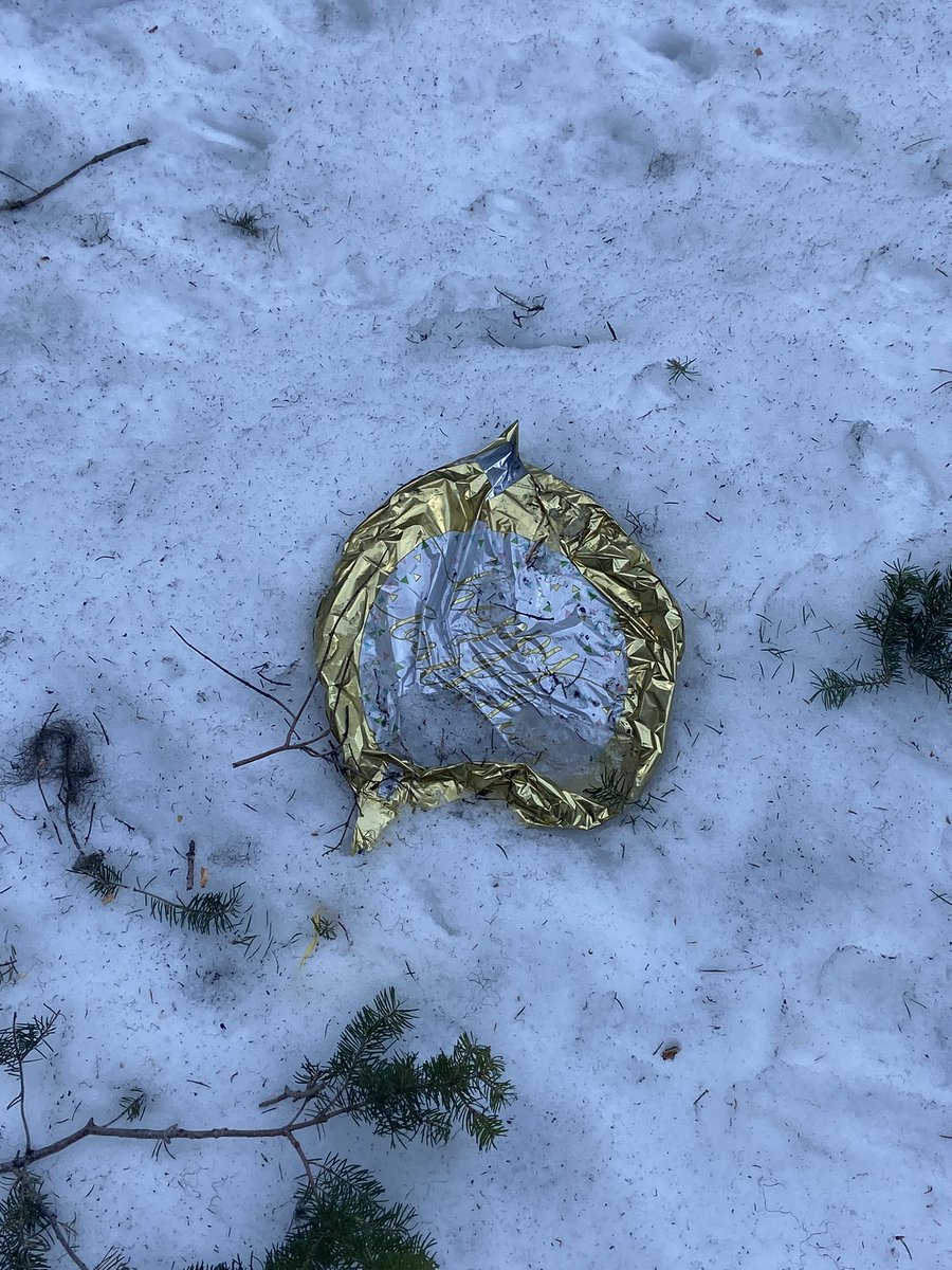 I’ve been told finding a birthday balloon while your working in the bush is good luck. We’ll here’s hoping. #day97 #wildfireriskreduction #agreforestation #coalmontbc #princetonbc #vermillionforks