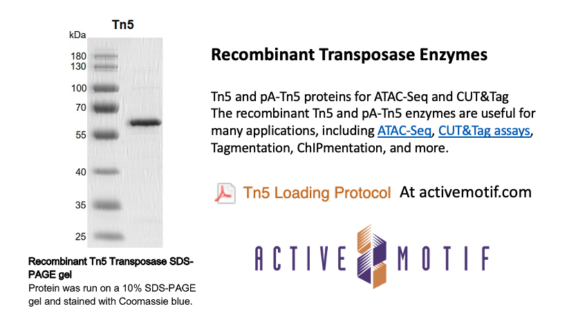 activemotif's tweet photo. At last! Affordable options for Tn5 & pA-Tn5 proteins! https://t.co/bG98ecJOm5
#CUTnTag #transposon #tagmentation #NGS https://t.co/bj9gTcjviC