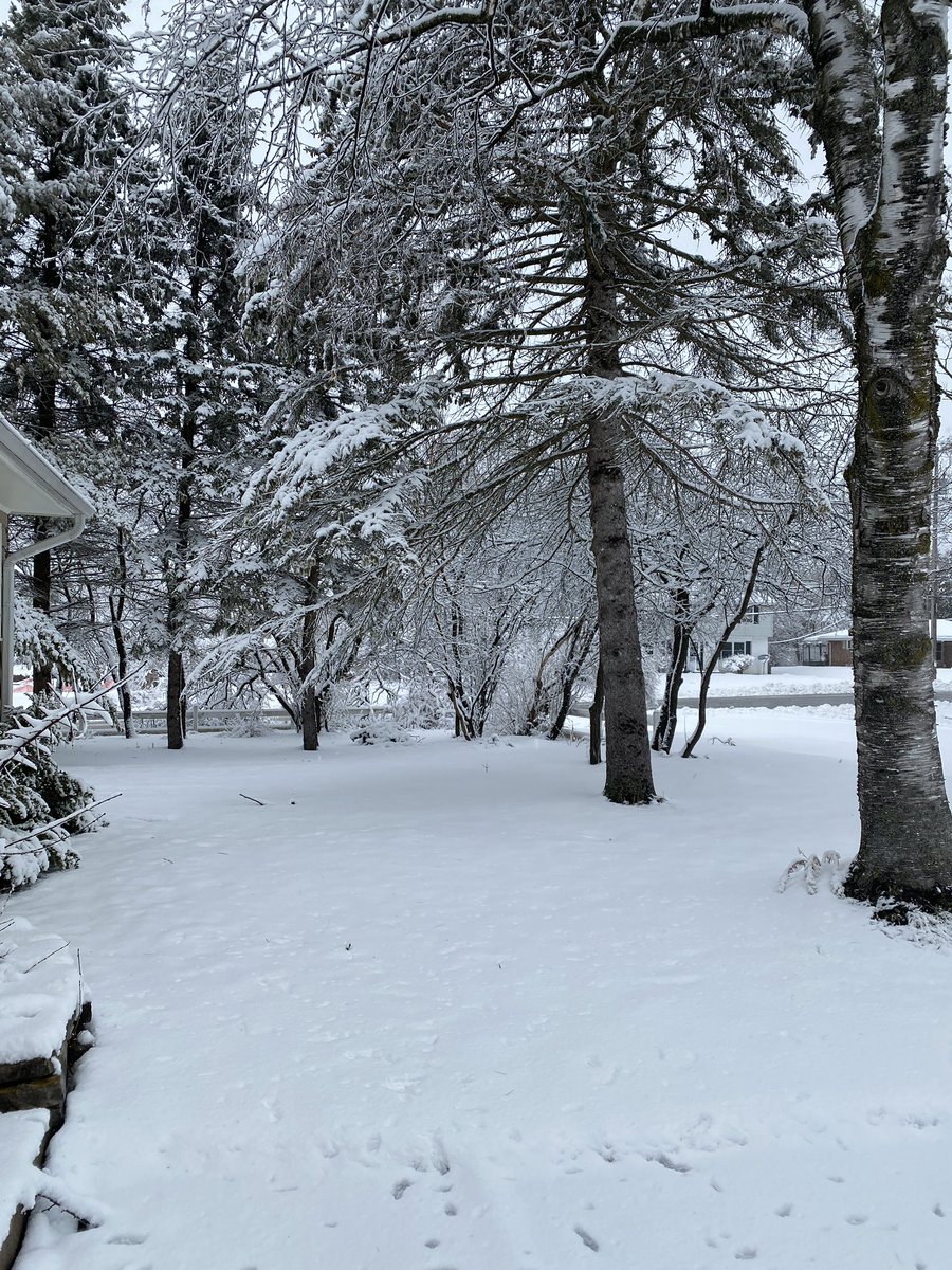 Denise_A_Craig's tweet photo. Just another beautiful spring day in Wisconsin #snowstorm #Milwaukee #MidwestLiving https://t.co/G4iblSClDs