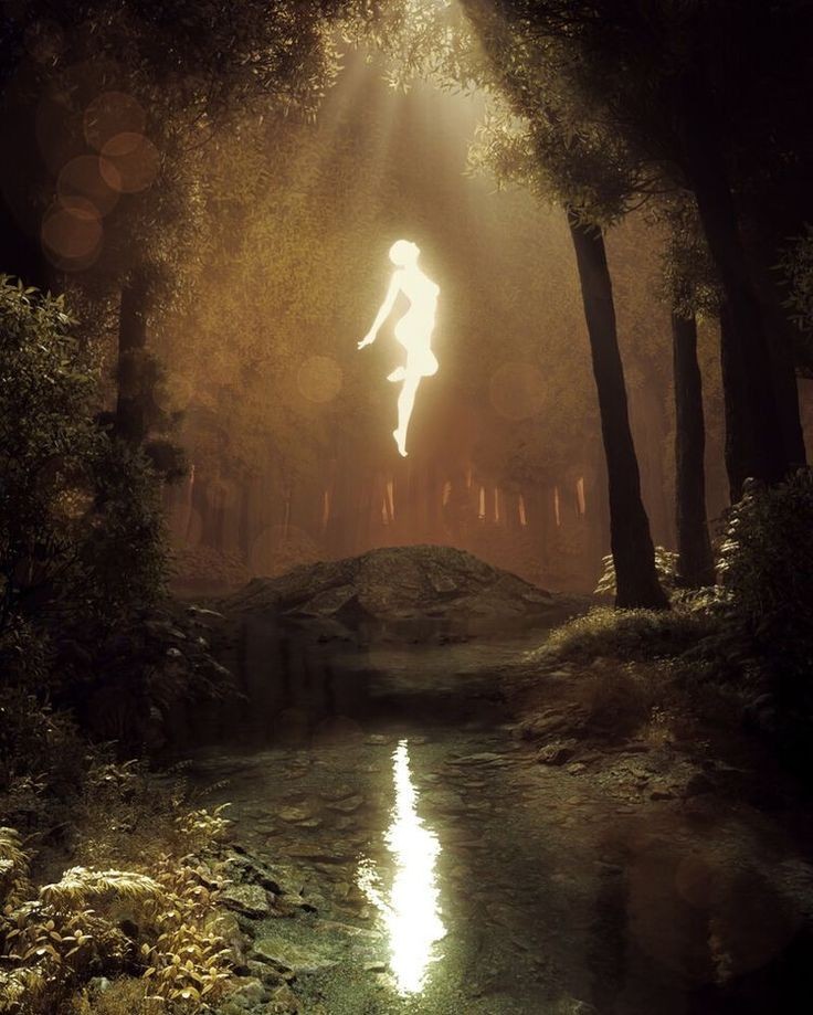 ⭒ ݁ . 𓆩𔓕𓆪⭒ ݁ . tweet media