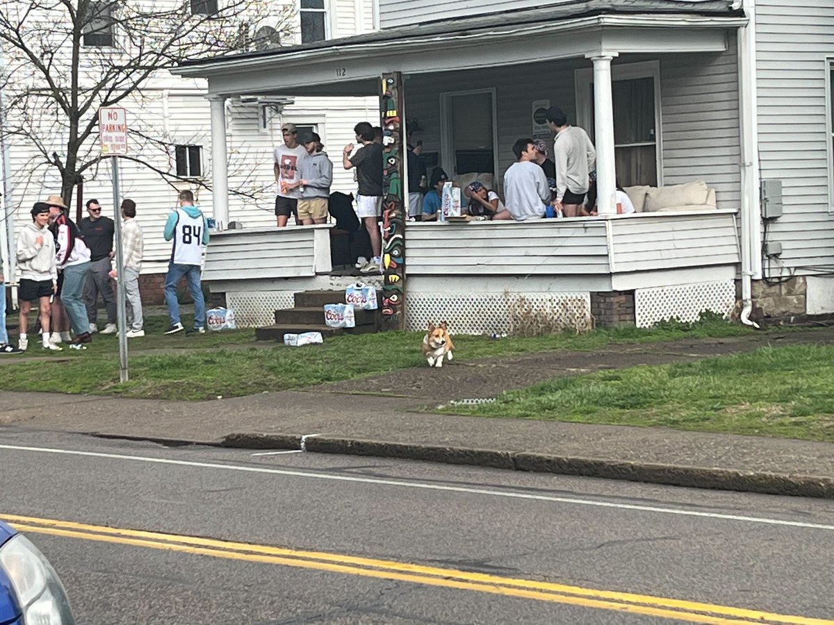 ThePost's tweet photo. Who let the dogs out at Mill Fest? Stay turned for more coverage! https://t.co/t9KAh8fAYB