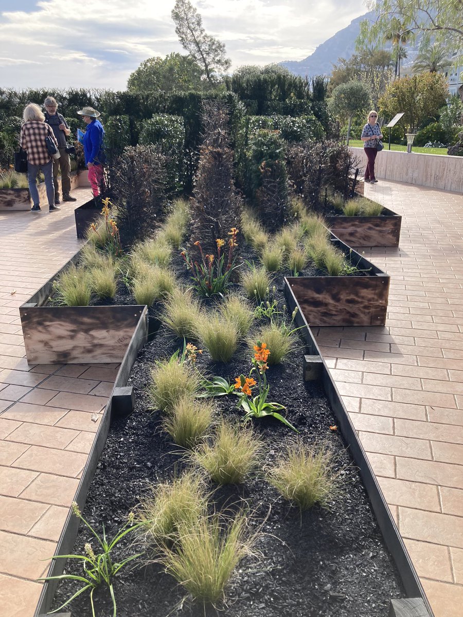 LesEntDuPaysage's tweet photo. Visite des jardins de Monaco. De belles perspectives !#FestivalJardins06 https://t.co/K0I7aPMFVs