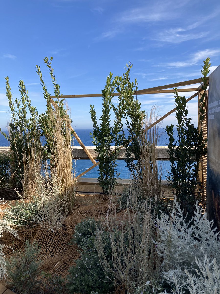 LesEntDuPaysage's tweet photo. Visite des jardins de Monaco. De belles perspectives !#FestivalJardins06 https://t.co/K0I7aPMFVs