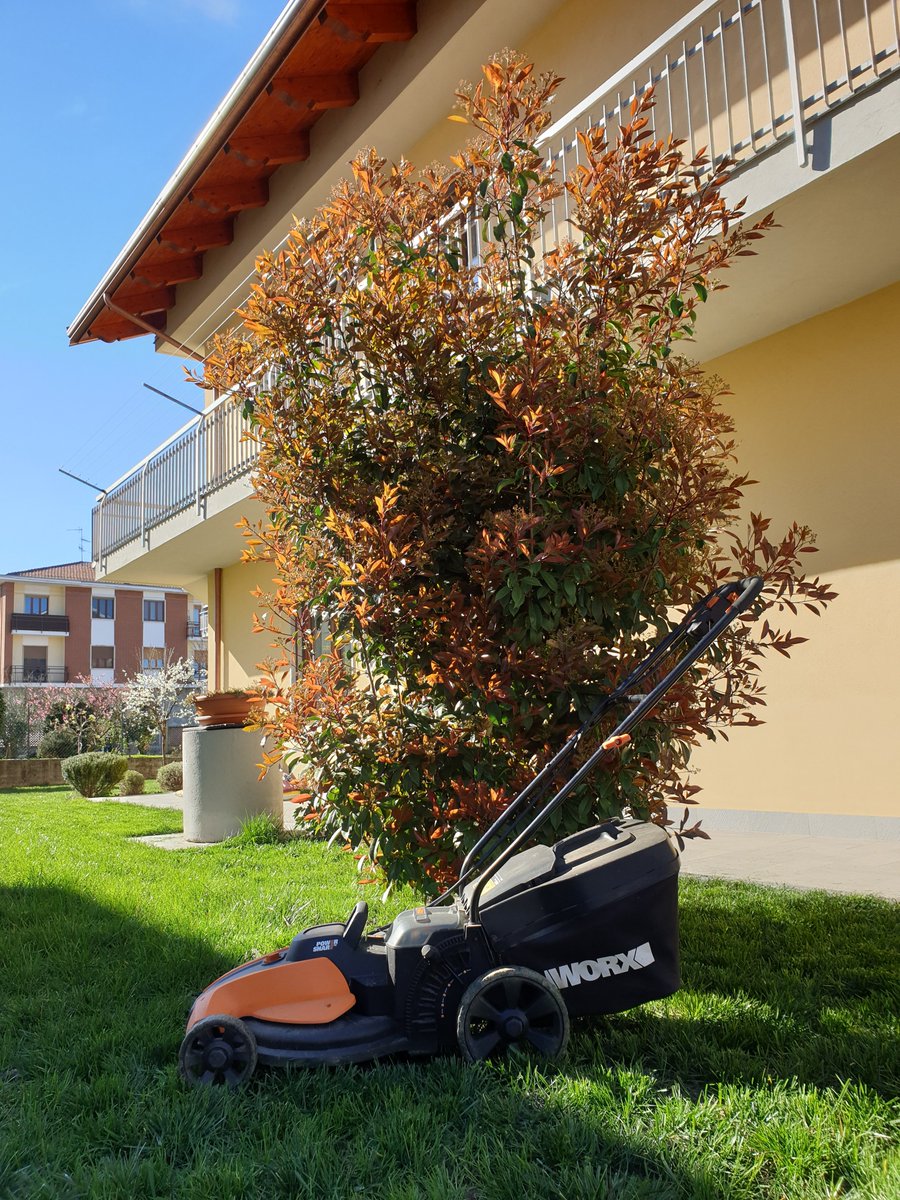 PaoloIraldi's tweet photo. Progetti per il week-end?

#25marzo #primaverando https://t.co/UViTw8qbyo