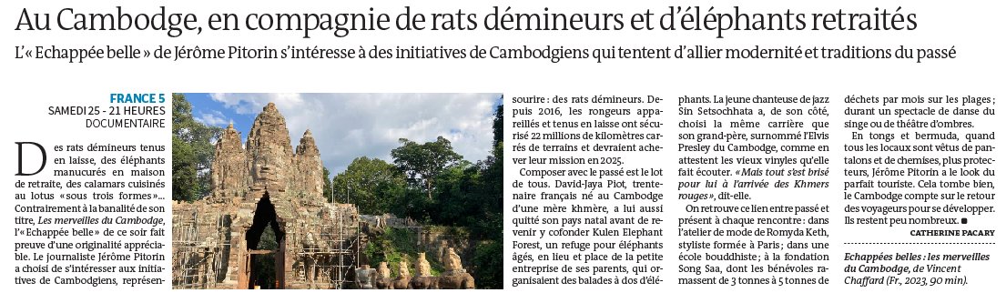 LeMondeTV's tweet photo. #AlaTéléceSoir « Les merveilles du Cambodge », sur @France5tv  : au-delà d’Angkor, à la rencontre de rats démineurs et d’éléphants retraités @pacary_l https://t.co/ryPLFDeHUp https://t.co/GLM0LmFzoV