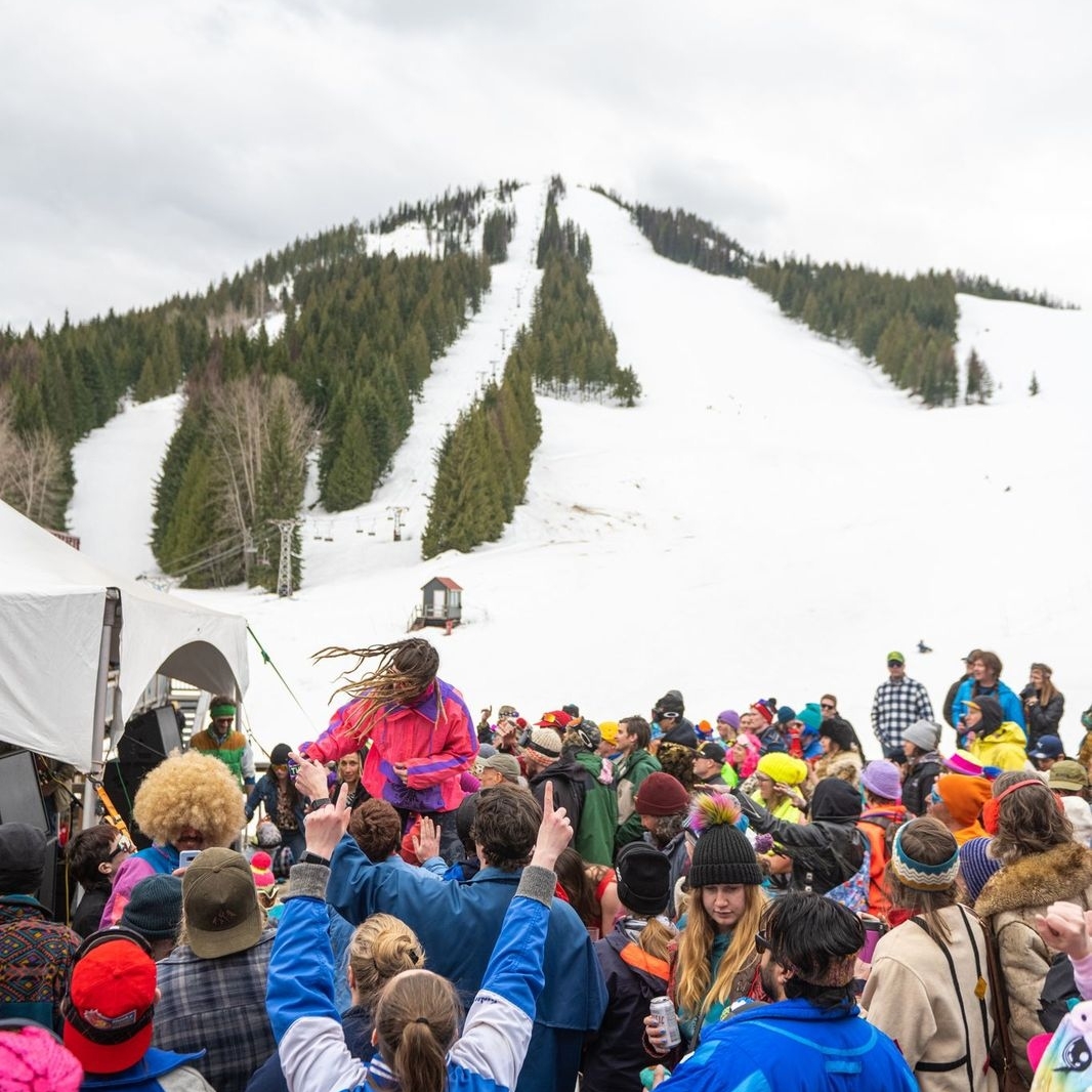 redresort tweet media