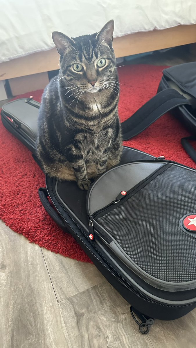 diamond_field's tweet photo. T O N I G H T !
Diamond Field at the @TheDelancey NYC.
We hit the stage at 9pm sharp.
Come early for some other great acts!
Jenny has a new hair do!
Cooper that cat is helping out!
#livemusic #synthpop #synthwave #synthfam #diamondfield #21stcentury80smusic @JenOn23 https://t.co/4gJSn3OahP