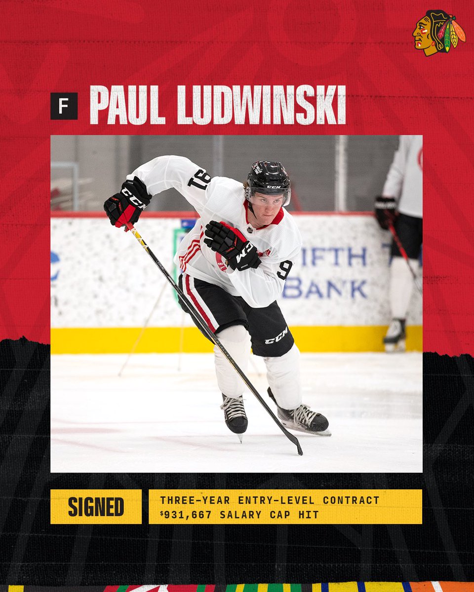 NHLBlackhawks's tweet photo. Hi Paul 👋 https://t.co/C3kBGS2vEg