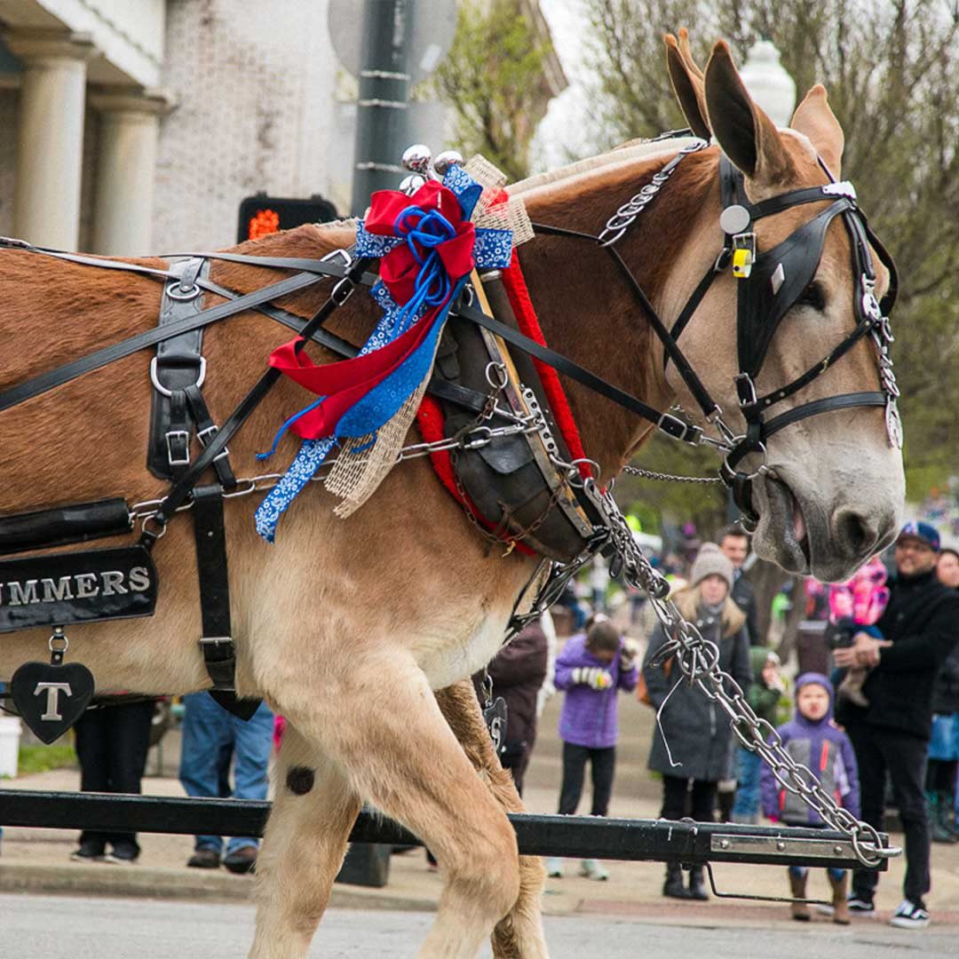 Mike Wolfe tweet media