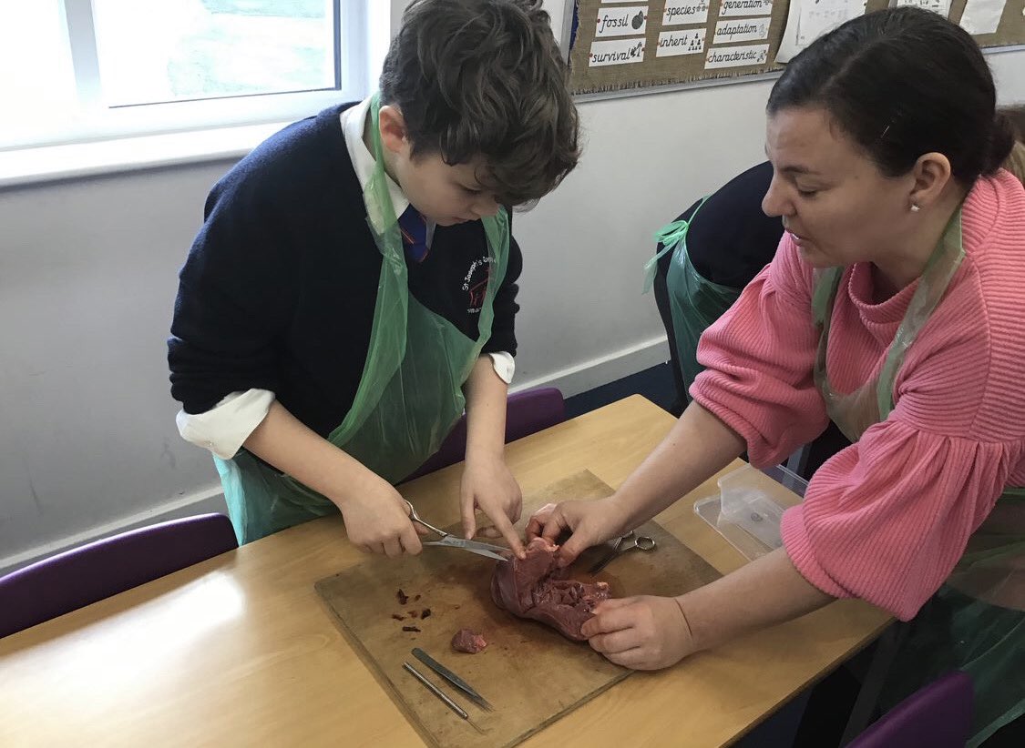 St Joseph's, Sudbury tweet media