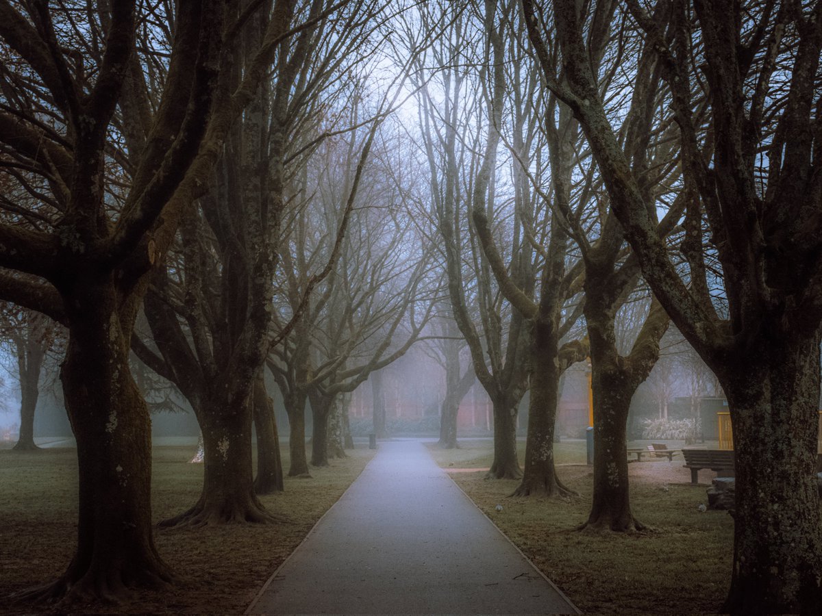 A Serendipitous Morning