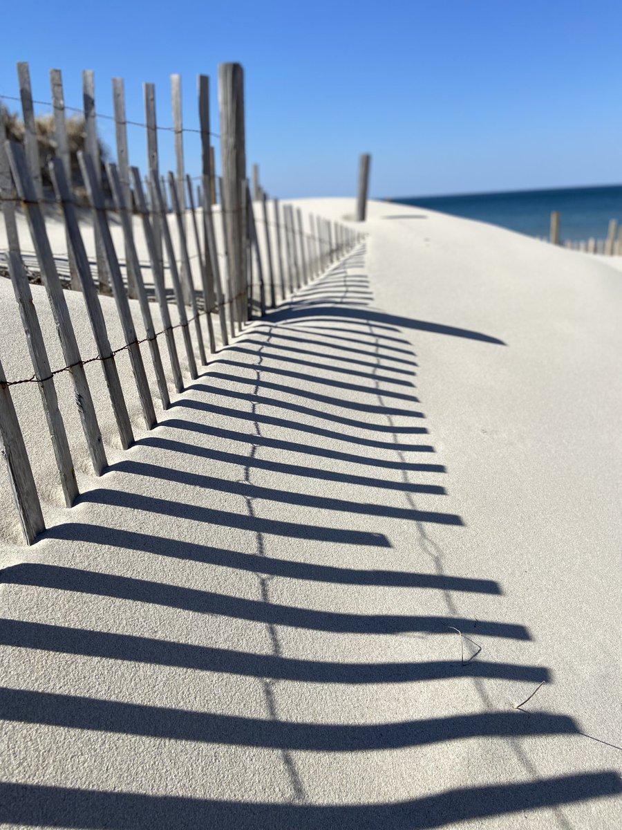 Springtime on my mind ☀️🌊🌷 from East Dennis, earlier this week. 
#CapeCod #offseasoncapecod #seastreetbeach #eastdennis #Massachusetts #newengland #coastalliving #LoveWhereYouLive #yourlocalrealtor #findyourhappyplace #beachlife #luckytolivehere