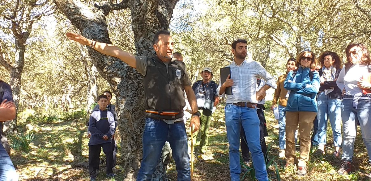 AfaProfor's tweet photo. #DIB2023
MAGNÍFICA mañana de campo visitando el M.U.P. "Ĺas Majadas de Ronda y El Berrueco" del @AytoRonda

-Corcho
-Madera
-Leñas
-Brezo
-Pastos
-Ganadería
...
Muy enriquecedor, compartiendo y debatiendo ideas pateando el terreno! 
👌
#JuntosXLosBosques https://t.co/nBLrtL3B54