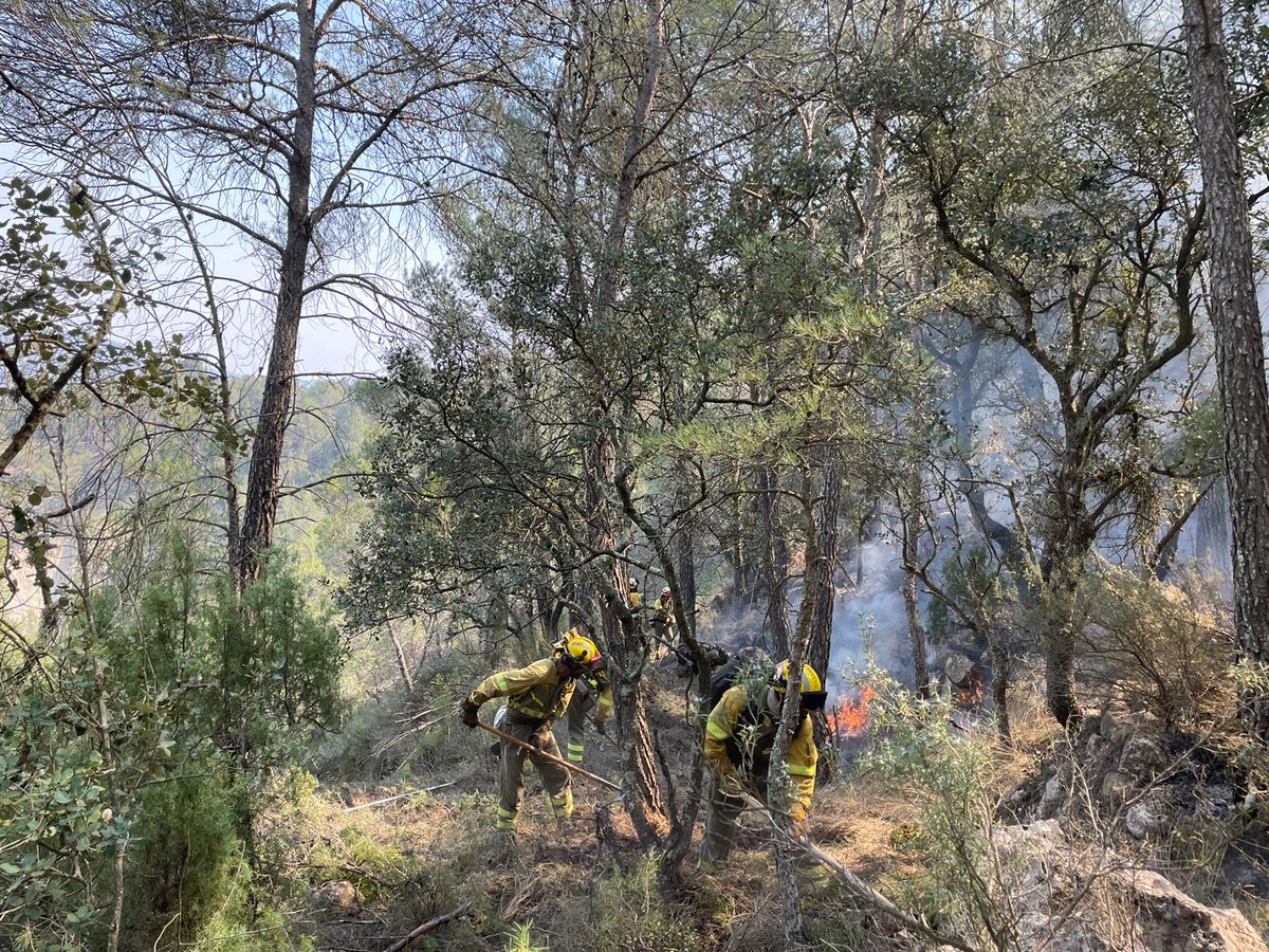 AT_Brif's tweet photo. 16:06🎥#IFVillanuevaViver #Castellón

Los 16👨‍🚒#BomberosForestales @BrifDaroca han trabajado junto a las brigadas de #BBFF @112rmurcia realizando linea a dos pies+maniobra con fuego técnico para cerrar el perimetro en la zona de el Barranco del Lobo.

Grandisimo trabajo tod@s!🙌 https://t.co/OJJvekwYwY