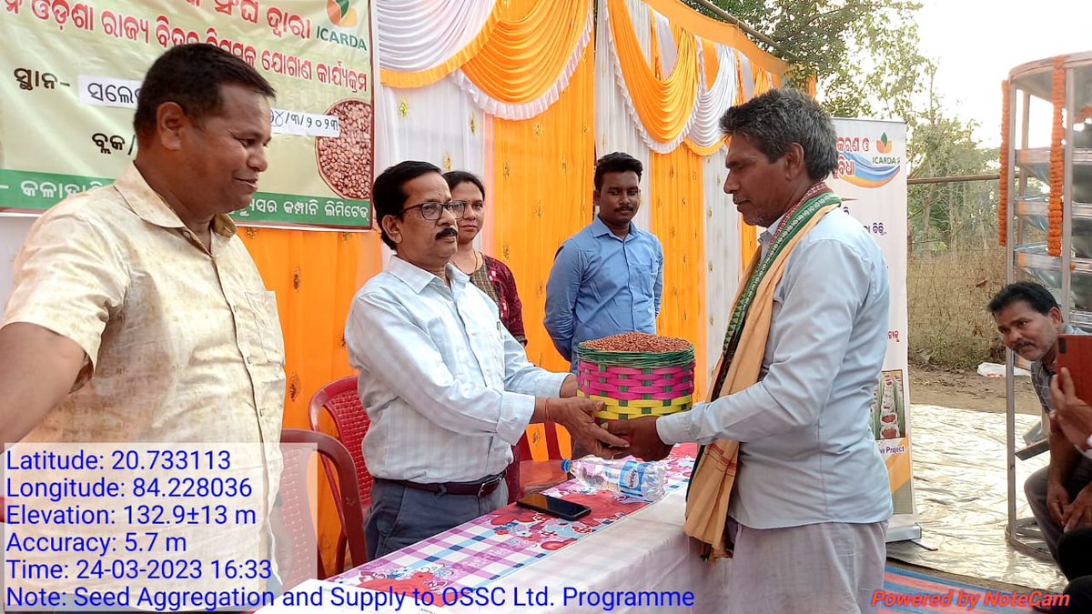 cdaoboudh's tweet photo. @dmboudh @krushibibhag @ICARDA Arhar certified seeds selling to OSSC Ltd. by Producer Group promoted by ICARDA in collaboration with DA&amp;FP, Govt. of Odisha under "Incentivization of non paddy crops" (Arhar Minikit Programme) in Boudh District. https://t.co/WQWenEBZQb