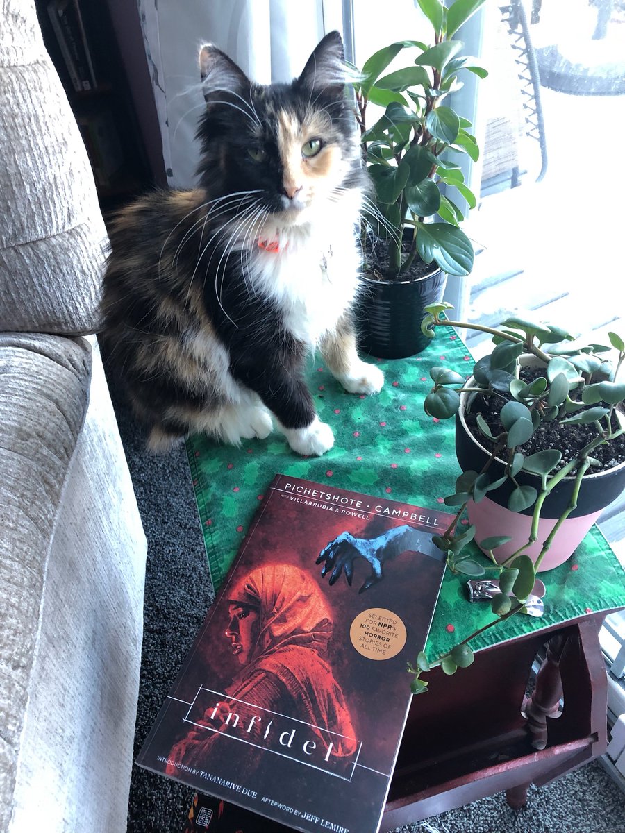 HarvLovesComics's tweet photo. If you like suspense-horror tales, Harv recommends reading creepy-good Infidel and avoiding munching house plants. #comicbooks #GraphicNovels #Caturday #CatsOfTwitter https://t.co/mn5y5B5Cur