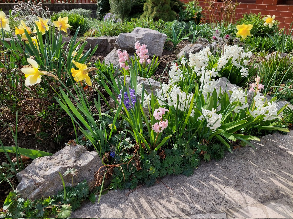 Ayrton0012's tweet image. #galaxyA52s#nofilter