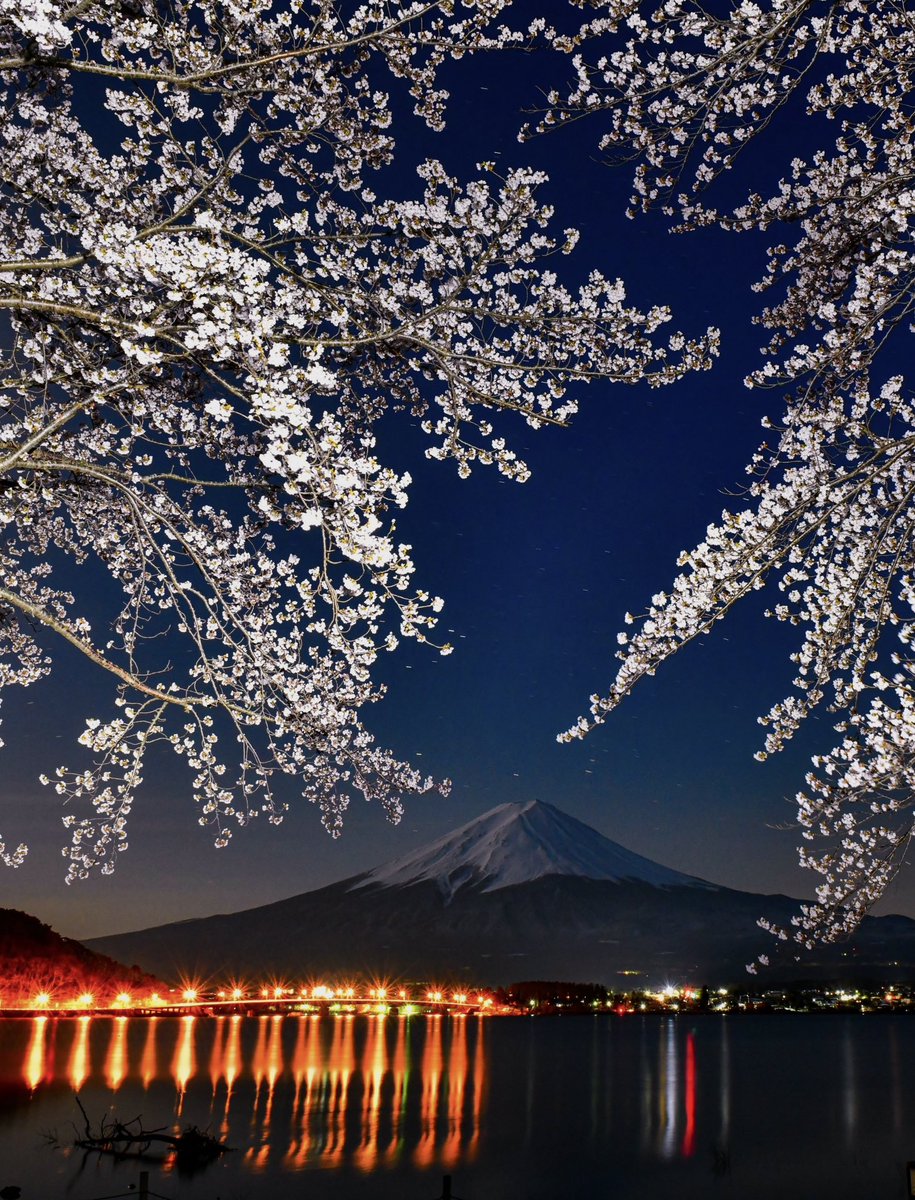 河口湖からの夜桜と富士山です。月明かりもあり、素晴らしい光景でした🌸 早く晴れてほしいですね🙏 過去の作品