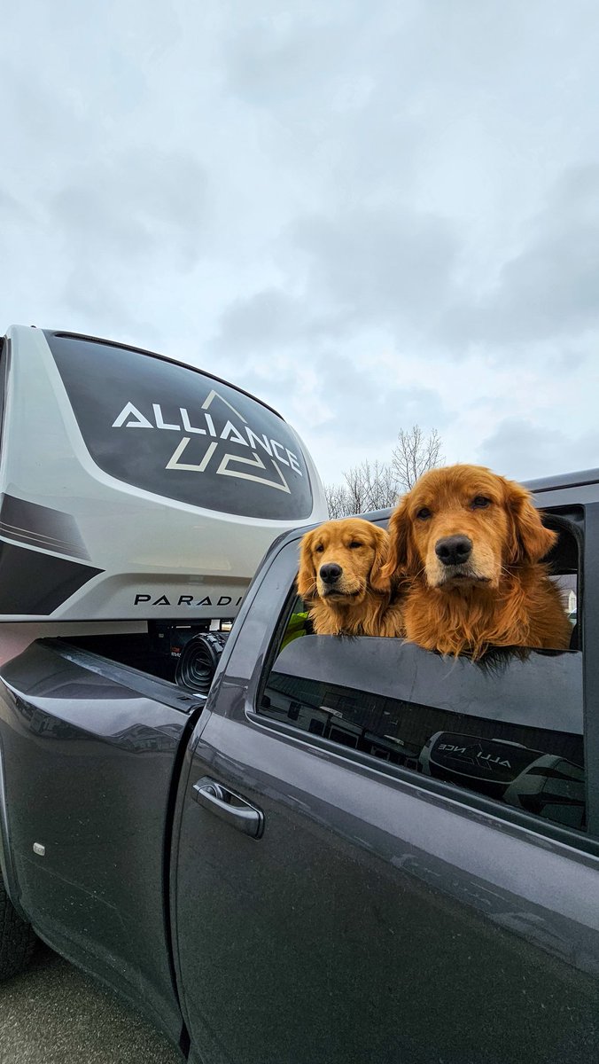 We love when furry friends come to visit the plant! #Alliancerv #JointheAlliance #rv #gorving #dotherightthing #Alliance #Paradigm #Valor #Avenue