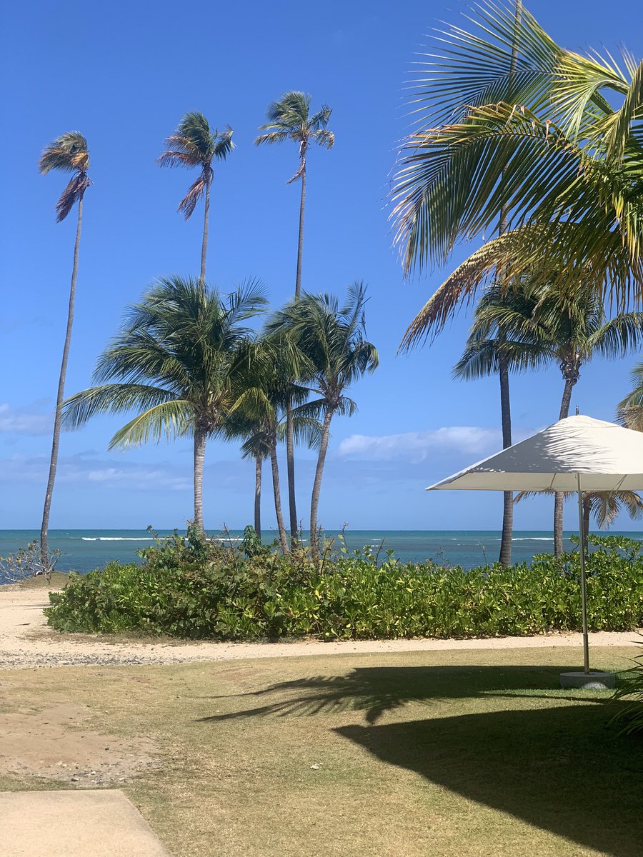 ashadvancingeq's tweet image. Some R &amp;amp; R for #Chapter30 🌴