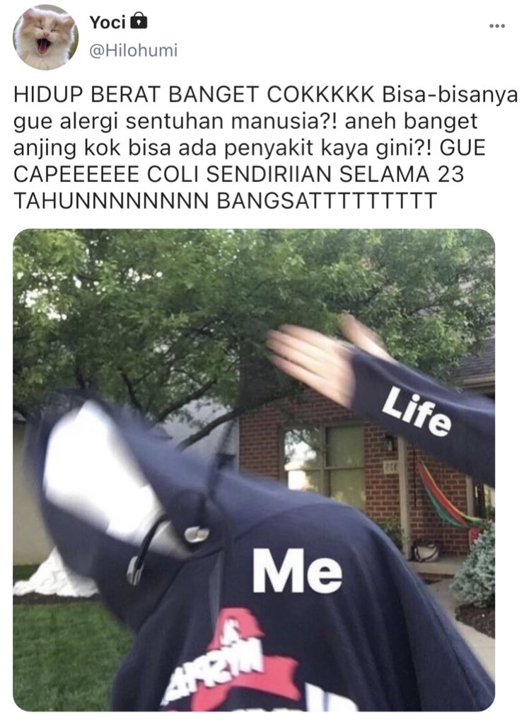 Mikki CF22 H-09🐟 tweet media