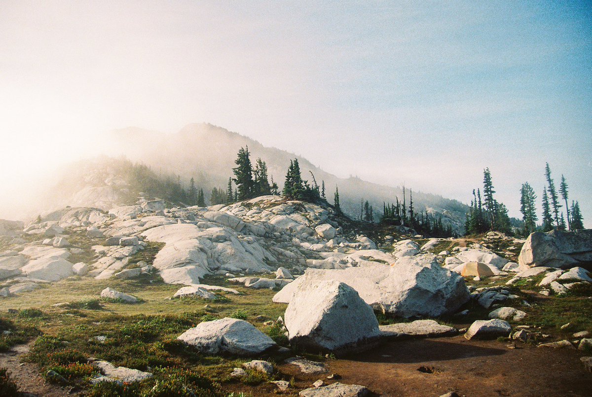 bradmbaldwin's tweet photo. Morning around camp in Washington 🎞️ https://t.co/OW8tQcbq3l