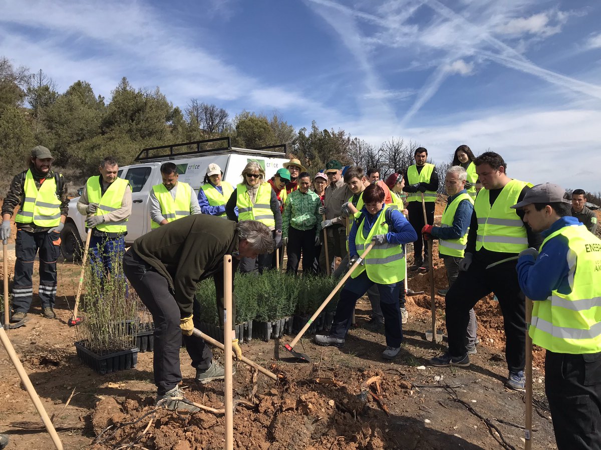 adecoar_arlanza's tweet photo. Cerca de cien voluntari@s participando hoy en la reforestación de 2.000 #sabinas en la zona afectada por el incendio del pasado verano #quintanilladelcoco #tejada #silos https://t.co/04h03eEW4P