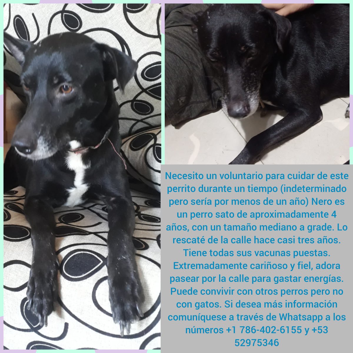 blue_laurita's tweet photo. Caballero, necesito su ayuda con esto. Máxima difusión 🥺🥺🥺🥺🥺 https://t.co/6wUD7xbQ7e