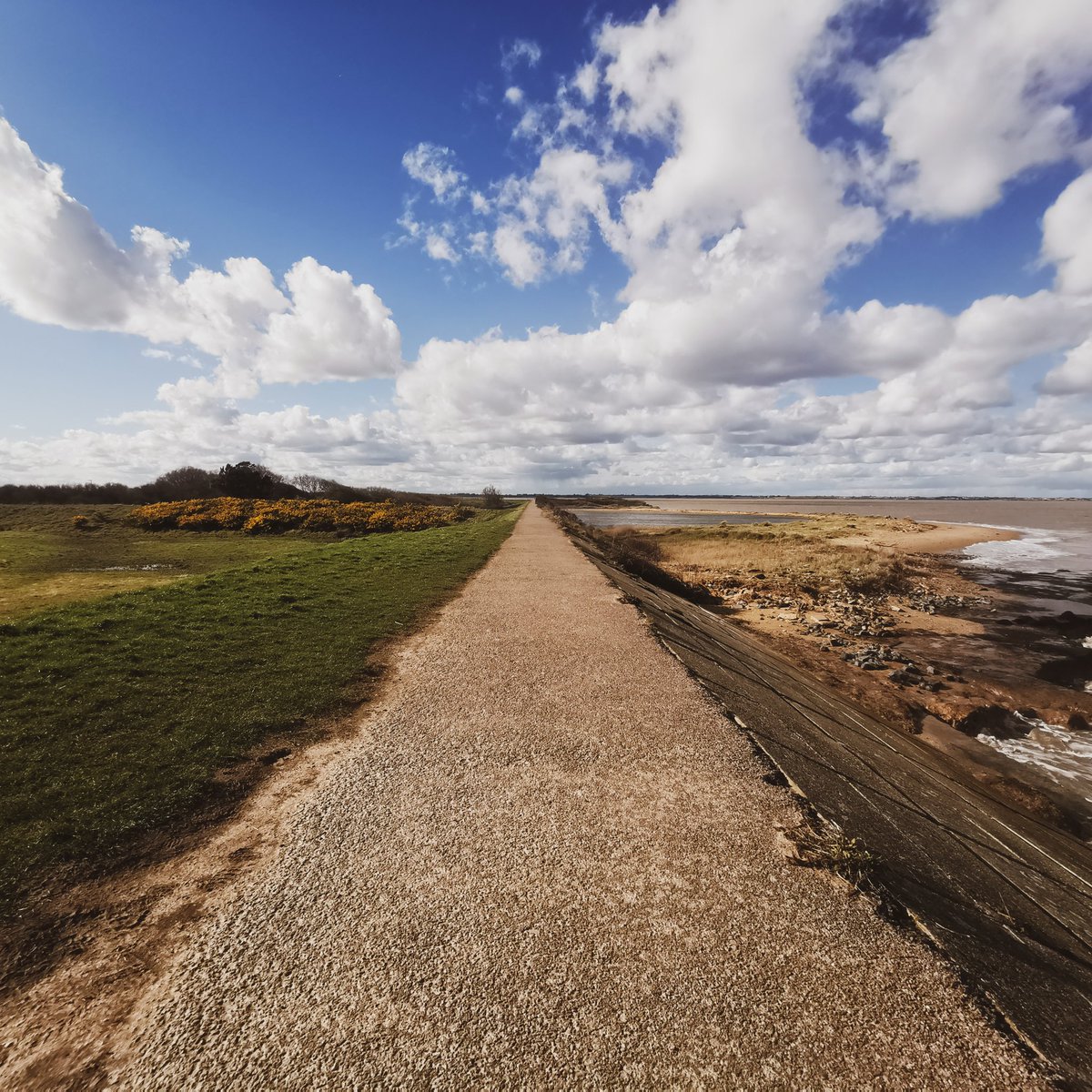 Han | Pages Places & Plates tweet media