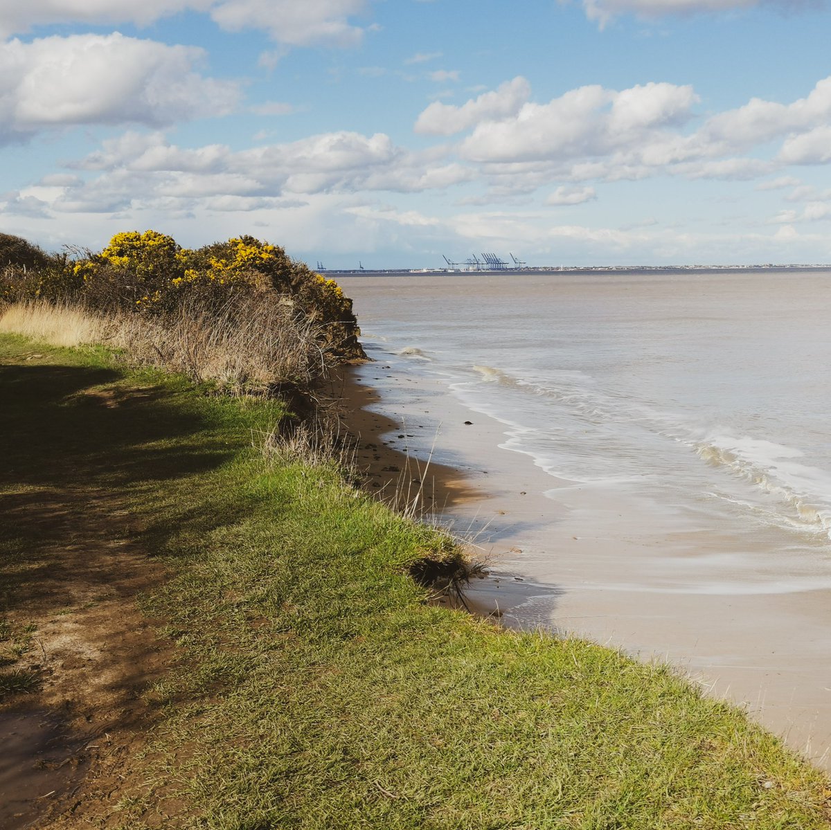 Han | Pages Places & Plates tweet media