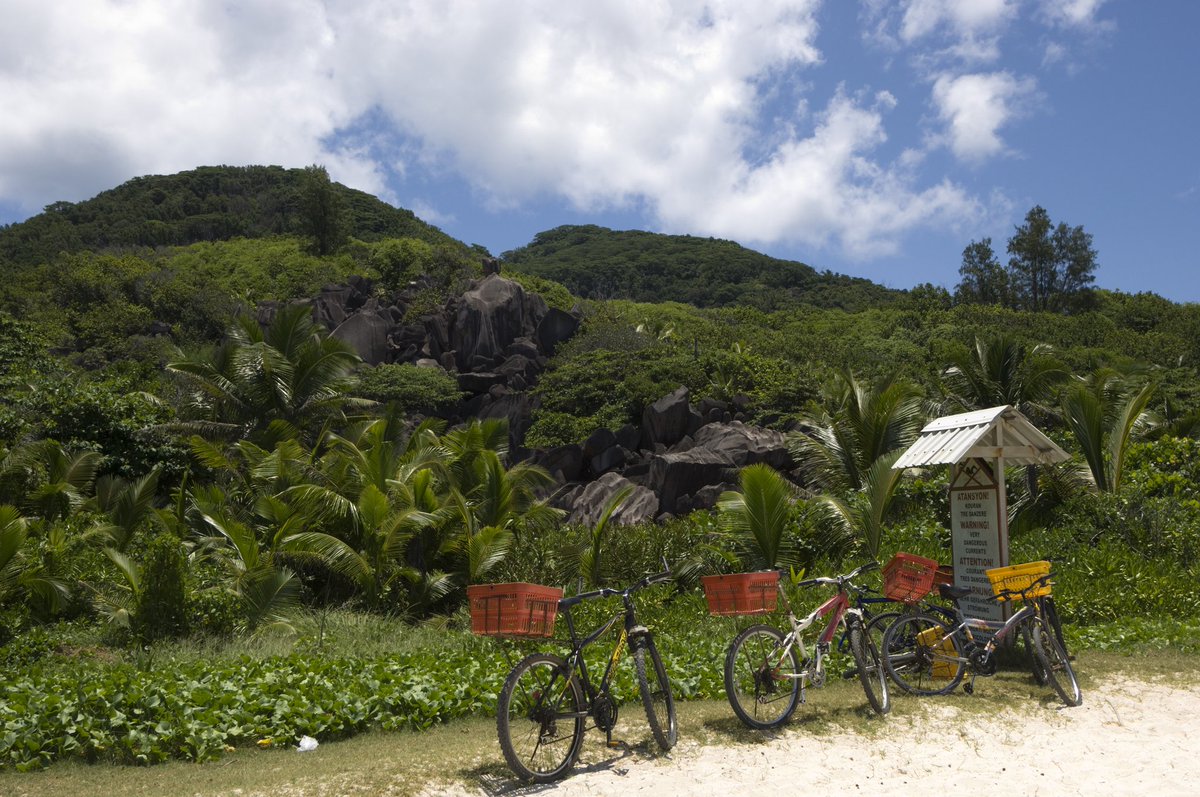 NomadsViajes's tweet photo. La Digue es un remanso de paz en el que todo el mundo se mueve en bicicleta 🚲

#NomadsViajes #Wanderlust #Seychelles #Viajar #LaDigue #AnseSourceDArgent https://t.co/aA7IimZRmf