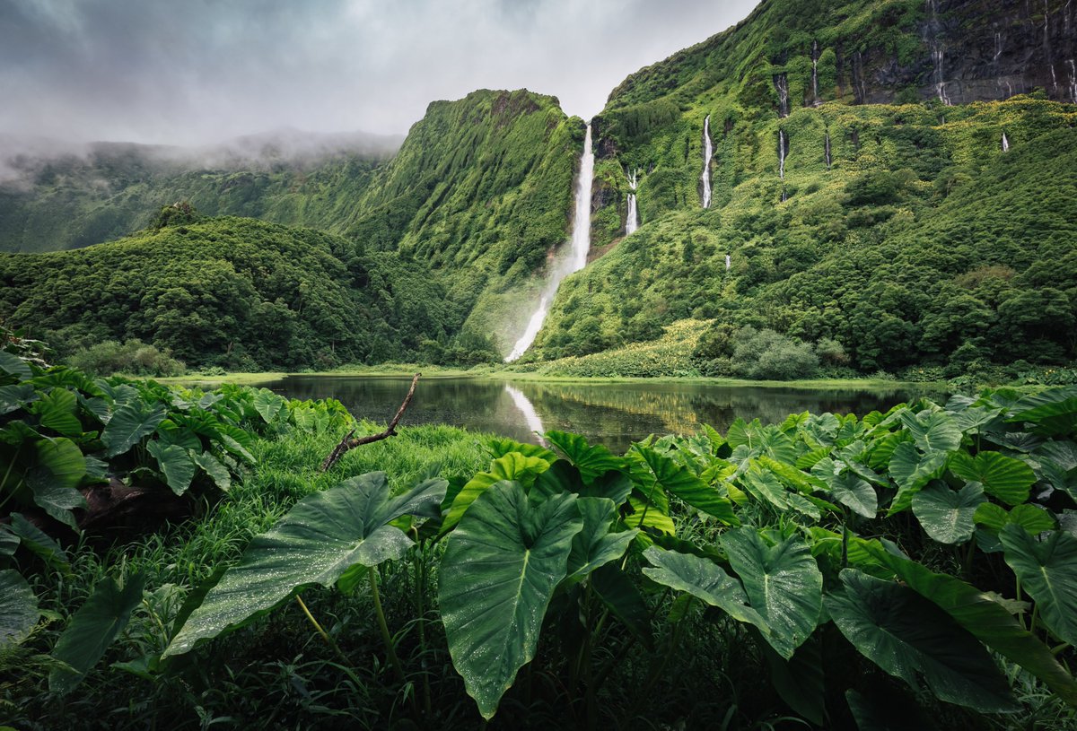 Image by Francesco Riccardo Iacomino

The Poco da Ribeira do Ferreiro waterfalls on Flores Island, Azores.

#ToNewHeights🏔️