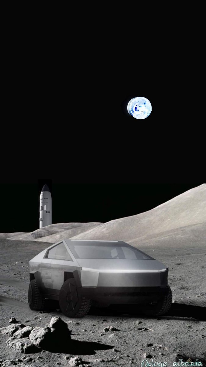doge_albania's tweet photo. #DogecoinToTheMoon 🚀🌖 https://t.co/qURdDlowJs
