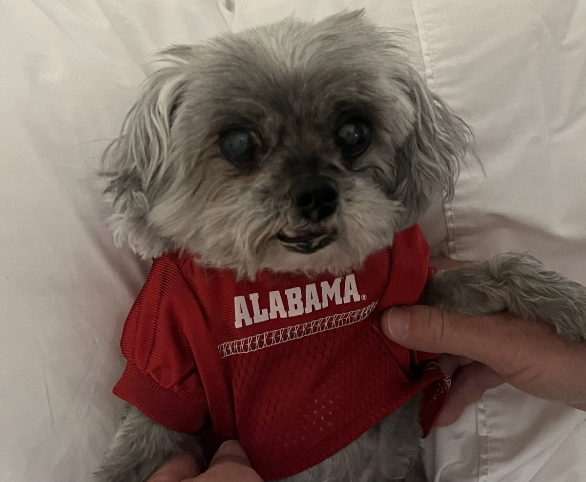 ColdCaseTips's tweet image. Game Day Baby!