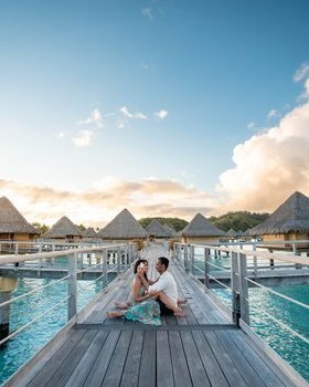 Pacific Beachcomber tweet media