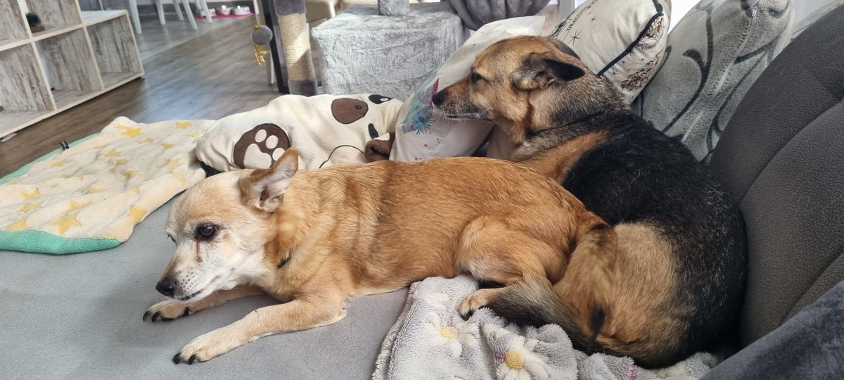 Meine Nelly, keiner kommt an Sie ran😏😆🤪❤️