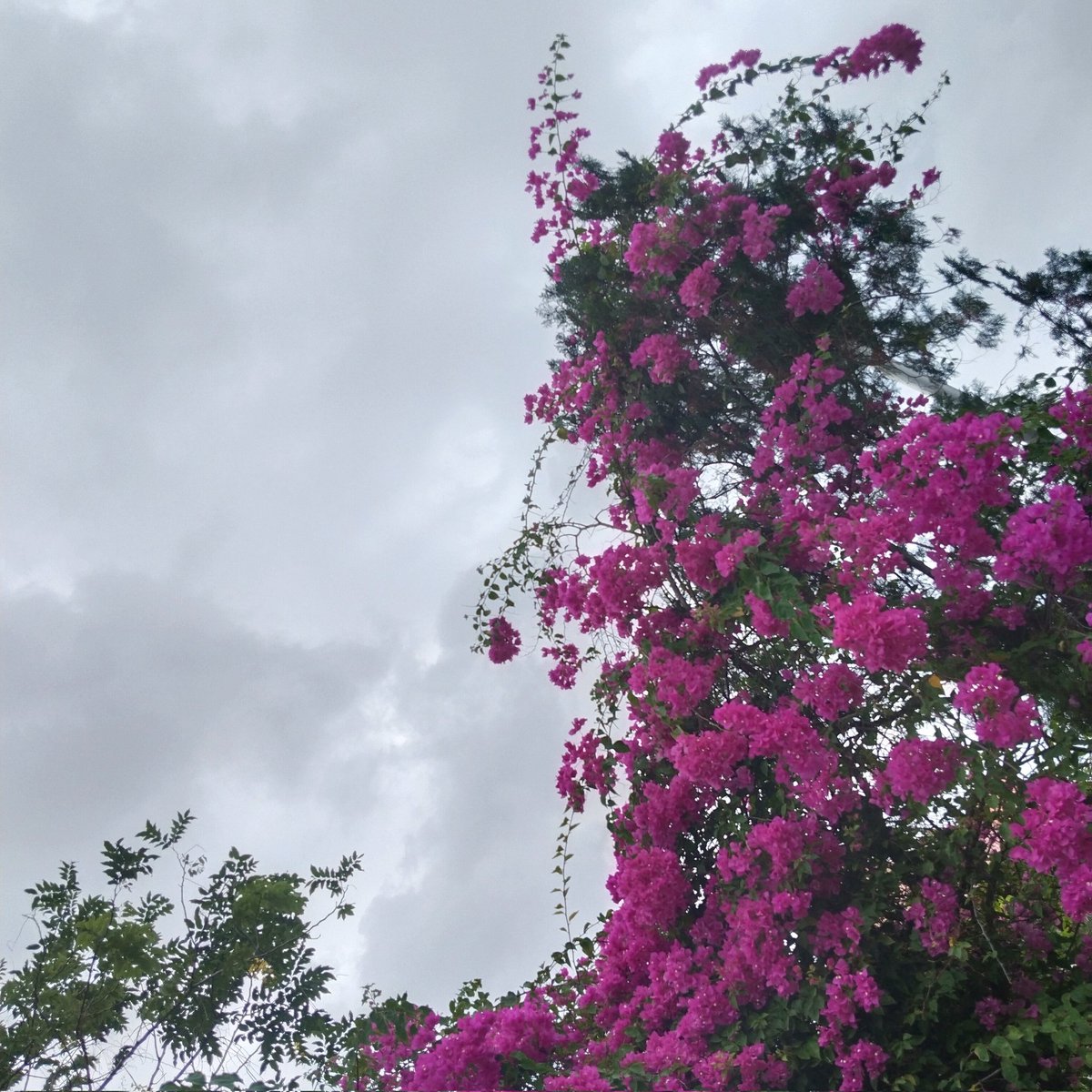 ParvathyBabu13's tweet photo. #NewProfilePic https://t.co/Dfw1qFiYSK