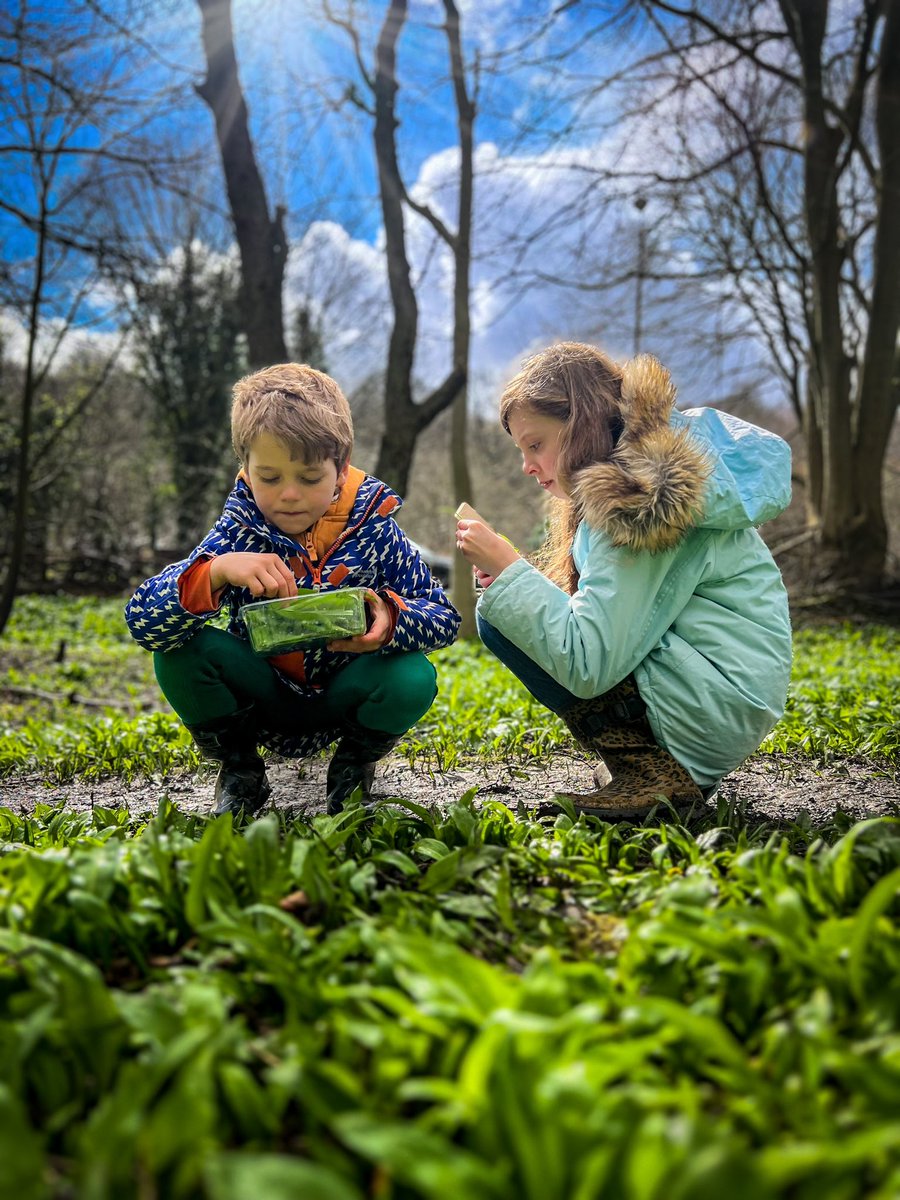 ReluctantExplrs's tweet image. Bit of wild garlic foraging today in #ilkley  #benrhydding #yorkshire