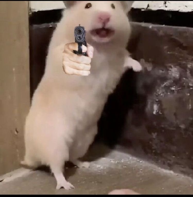 witchytwitchytv's tweet photo. Your last selfie is who you are on the outside and your last meme is who you are inside

Word https://t.co/rqg4CkG96H